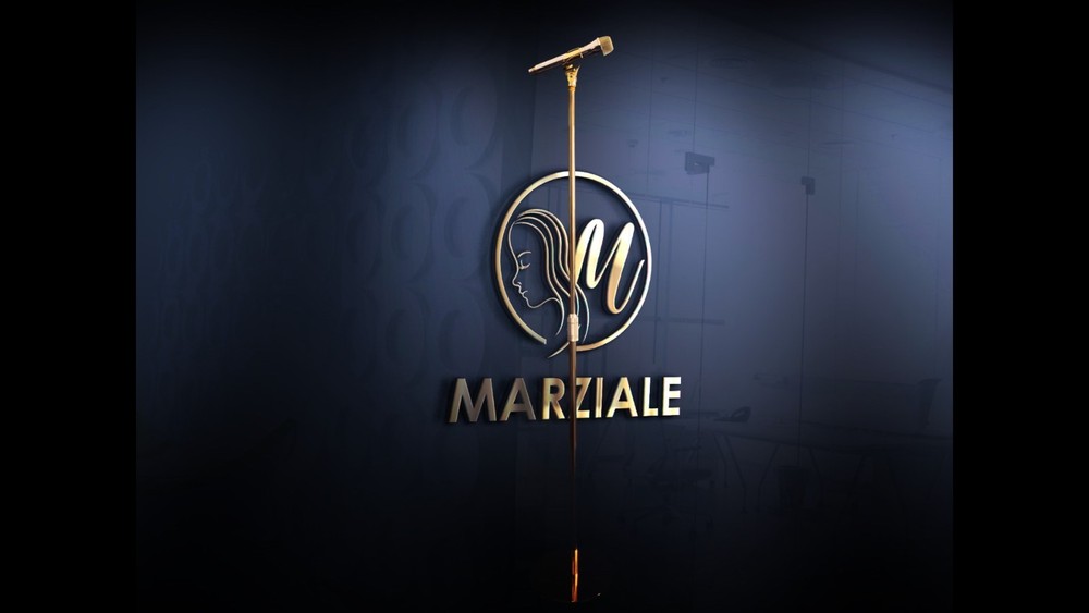 24K Gold Plated Mic Microphone Stand