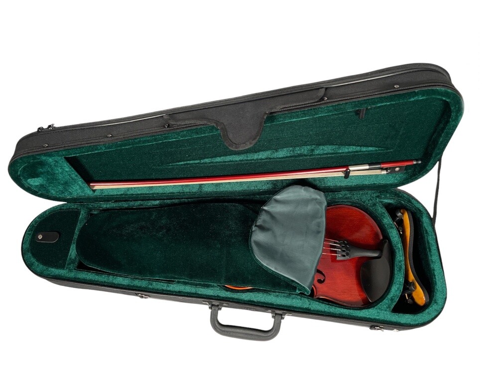 Petz Violin Violin Case Triangular Shape with Shoulder Rest Compartment in 5 ...