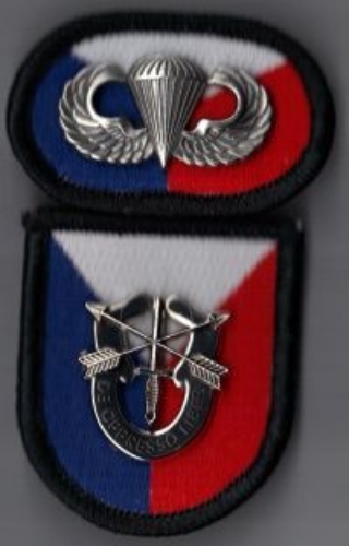 6th SPECIAL OPERATIONS SUPPORT COMMAND - BERET FLASH, DI / CREST, OVAL, WINGS