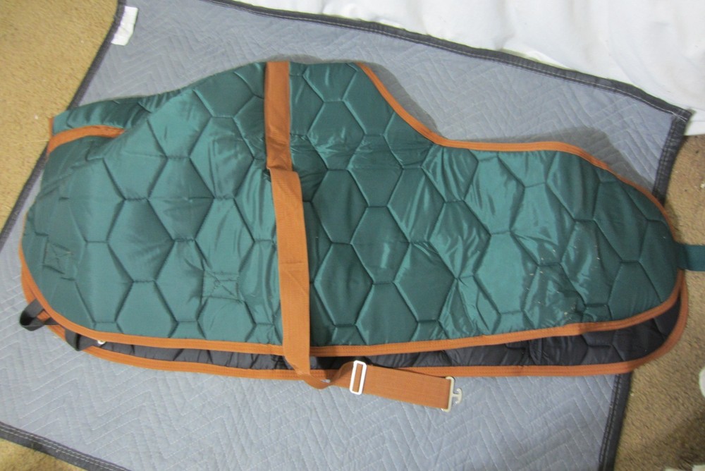 Adjustable Foal Mini Horse Winter Blanket Green Medium