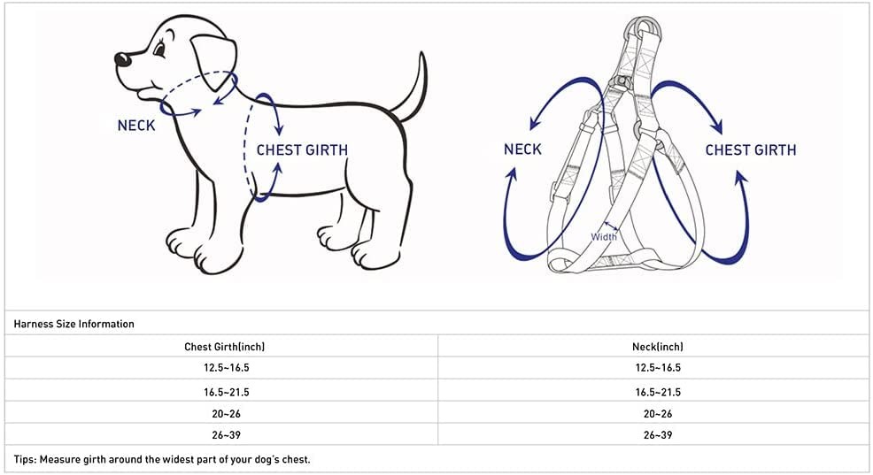 Blueberry Pet Essentials Step-in Dog Harness, Medium Size | Adjustable True N...