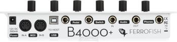 Ferrofish B4000+ Organ Module