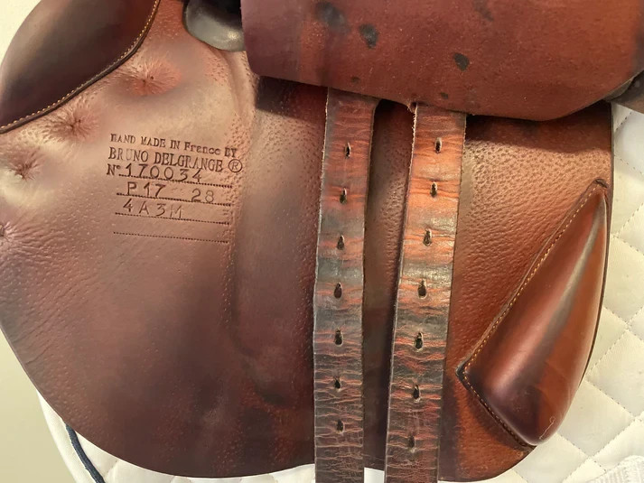 17" - 2017 Bruno Delgrange Partition, 4A Flap, Medium Tree