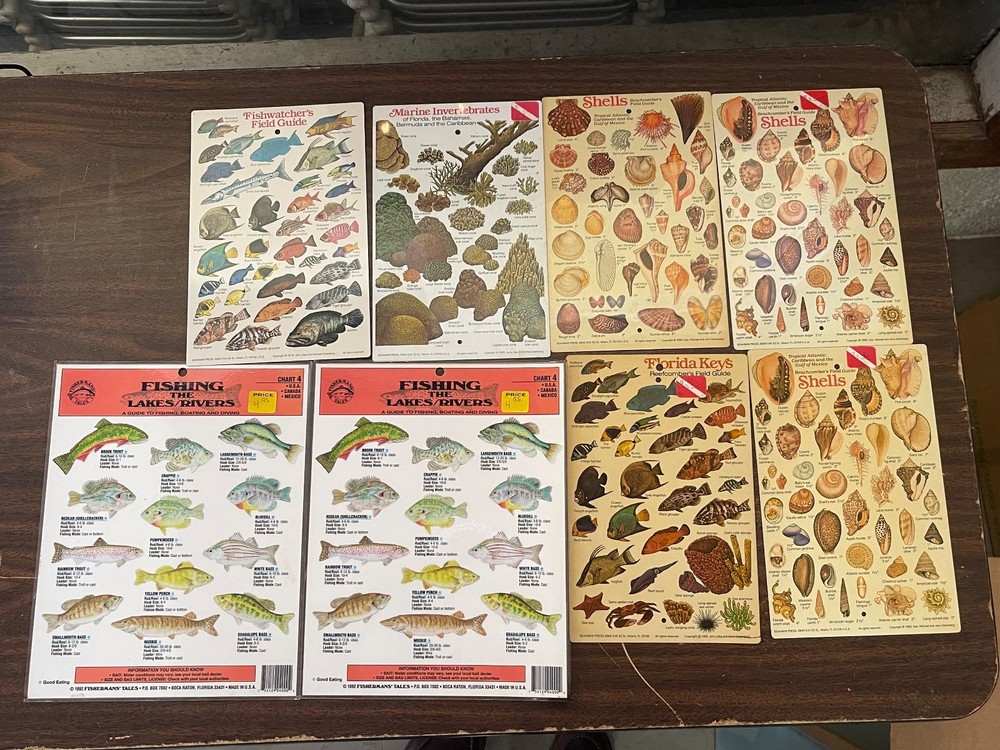 Lot of 8 Marine Identifying Sheets