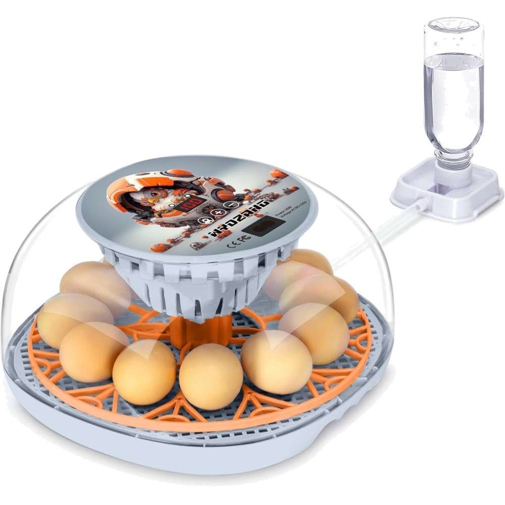 Smart 12 Egg Incubator with Automatic Turner for Poultry - Precise Temp Control