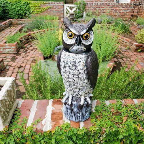 Dalen Motion Activated Solar Rotating Head Owl Decoy MRHO-4