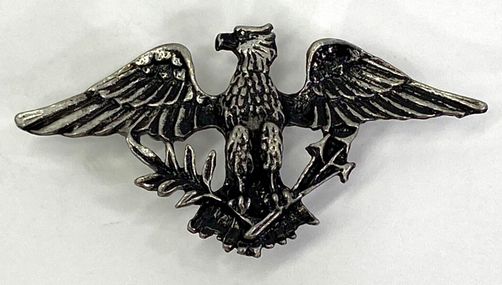 Patriotic Eagle Brooch  Pin