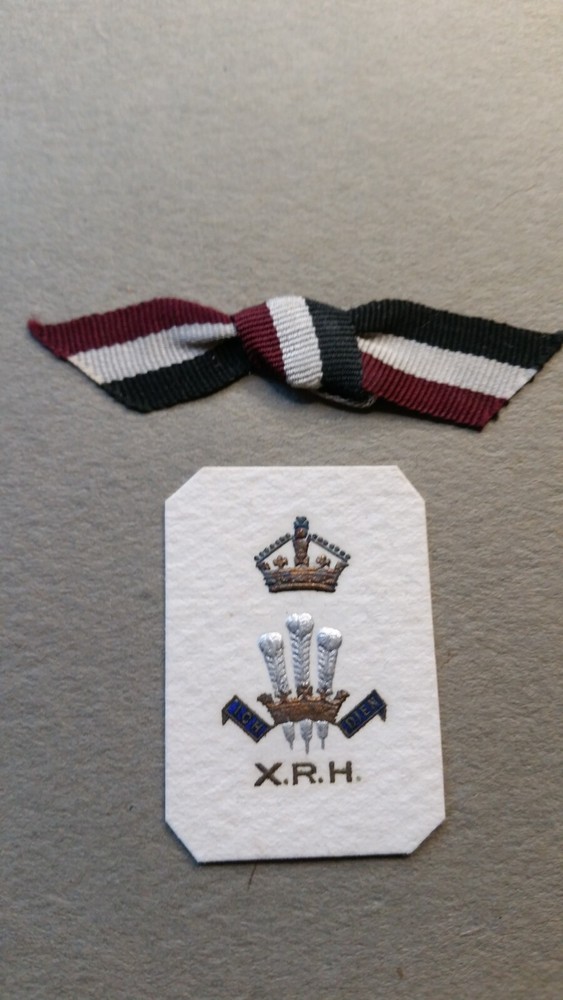 Dragoon Guards Ribbons and motifs
