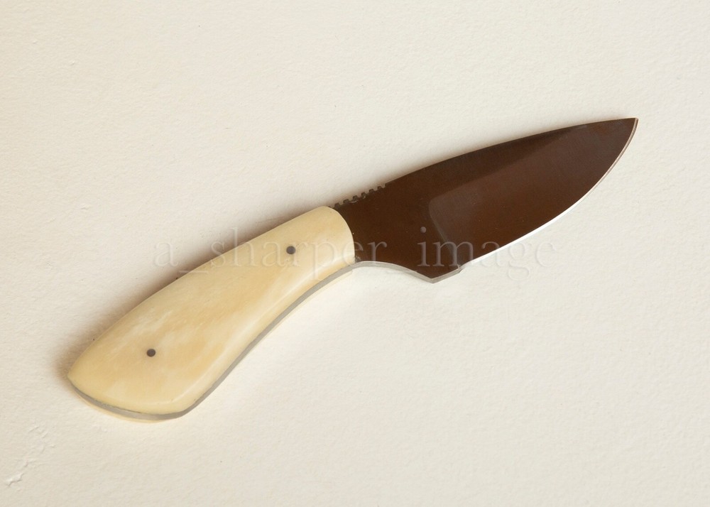 7” Stainless Steel Skinner SHARP Camel Bone Handle + Leather Sheath Rugged