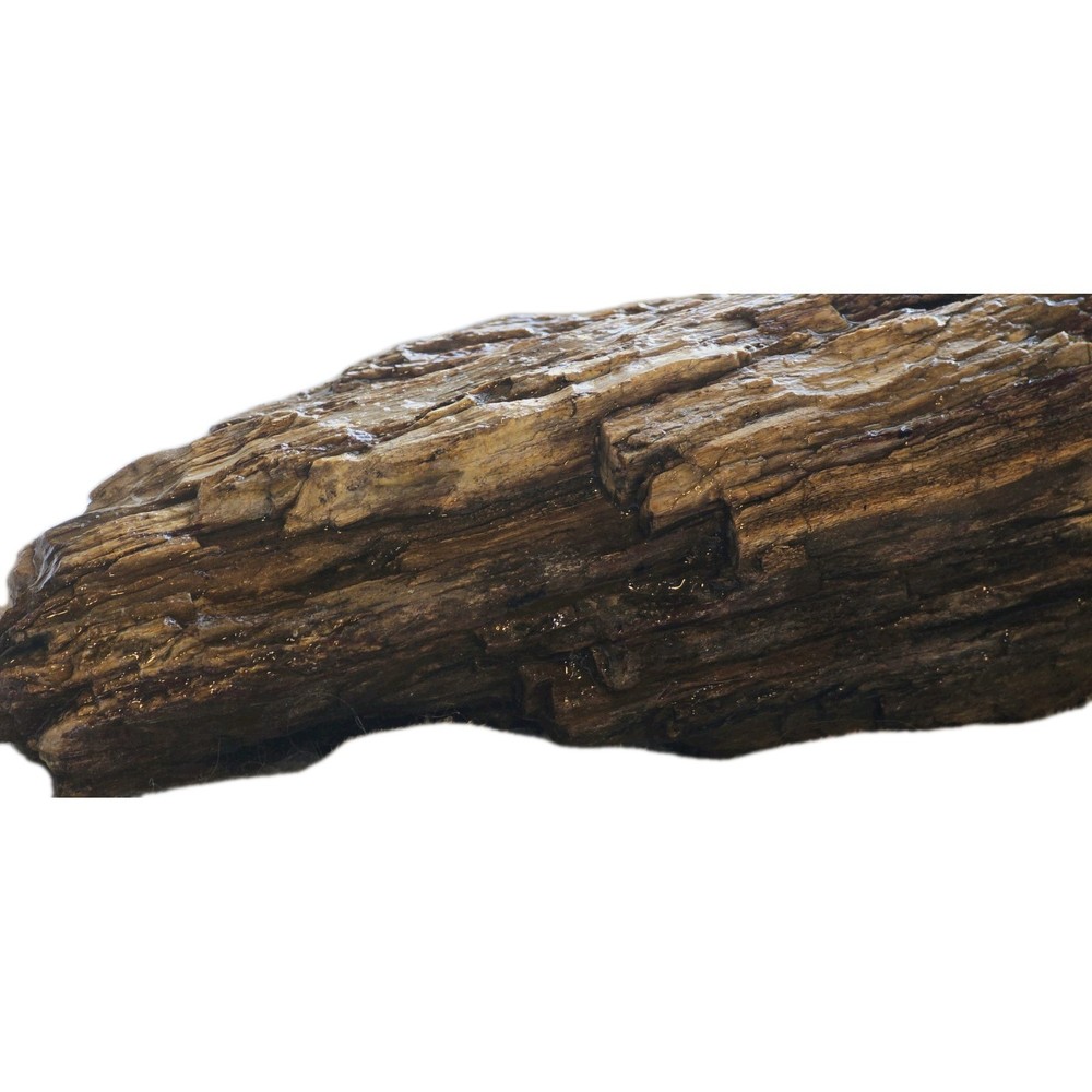 6lb Petrified Wood