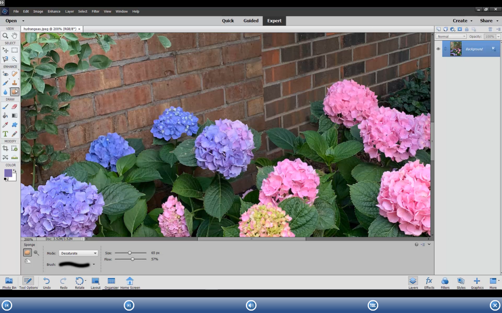 New PHOTOSHOP ELEMENTS 2023 DELUXE Training Tutorial & Quick Reference Guide