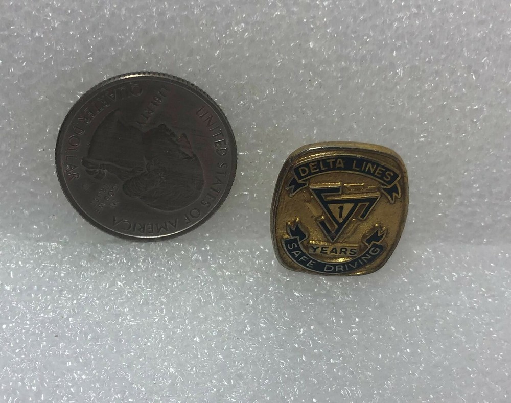 Delta Lines Safe Driving 1 Year Screw On Pin