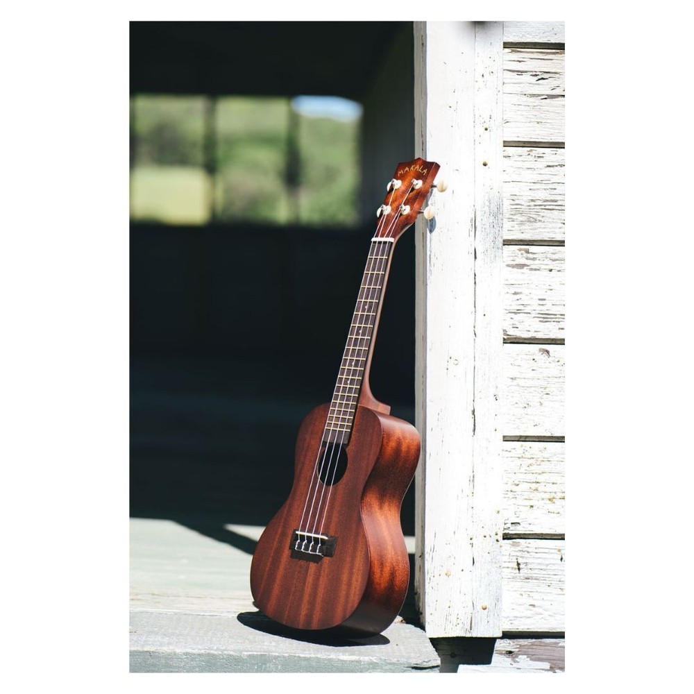Makala Concert Nickel Fret Update
