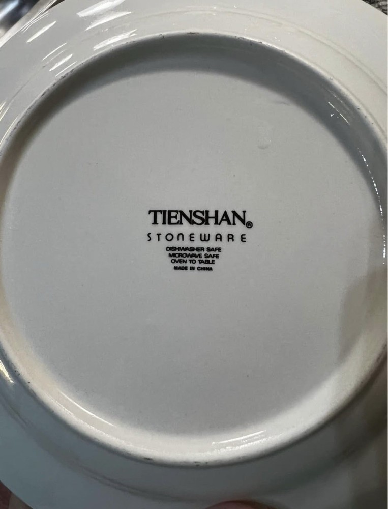 Tienshan Stoneware Christmas Teddy Bear 40 Pieces Dinnerware Set