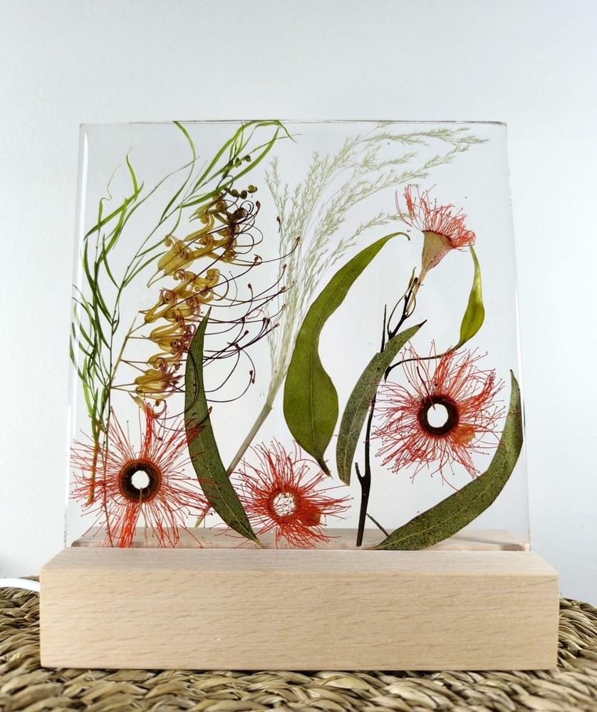 ustralia Nature Eucalyptus Flowers Night Light