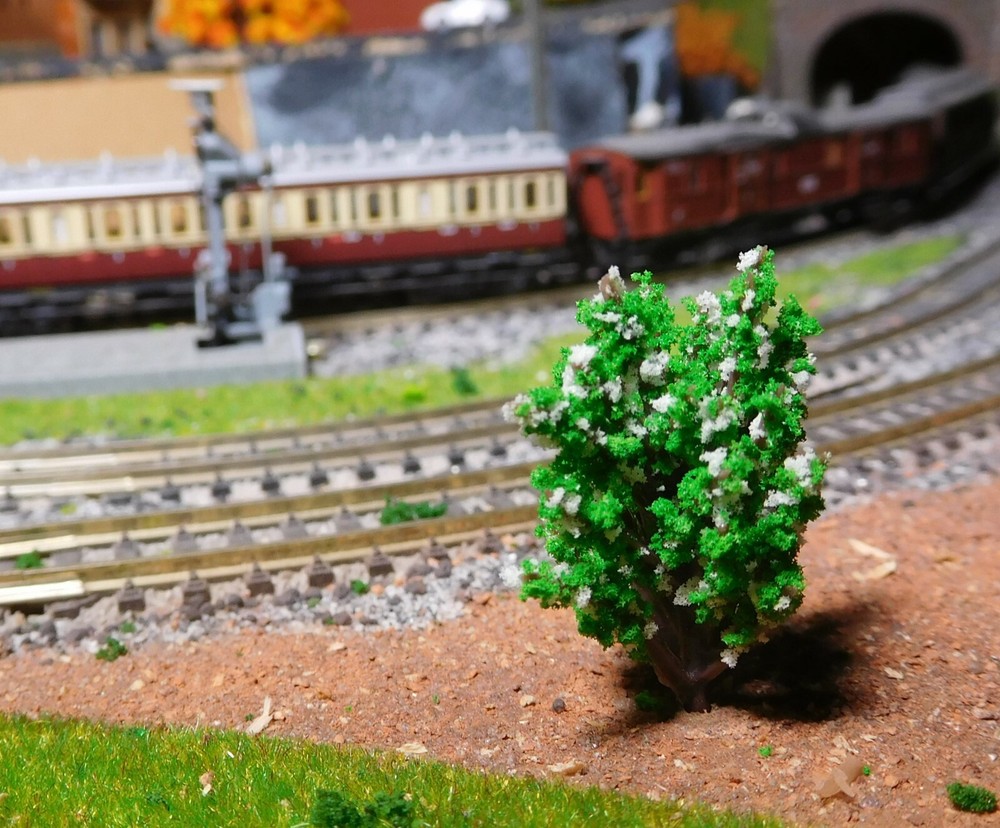 50 White Flowering Bushes, 40 Mm High