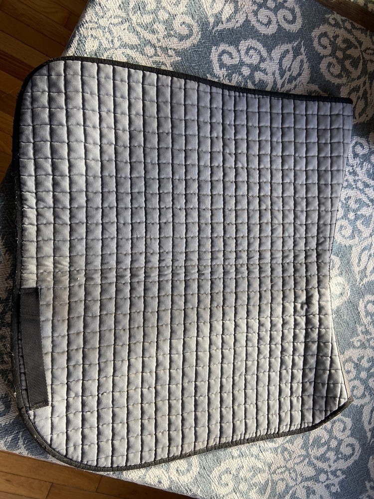 Weighted training dressage pad