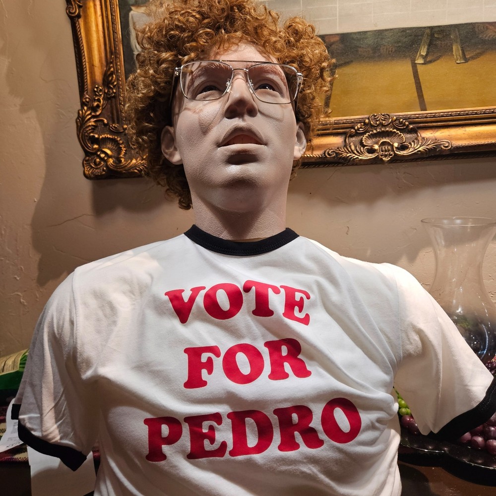Napoleon Dynamite torso bust