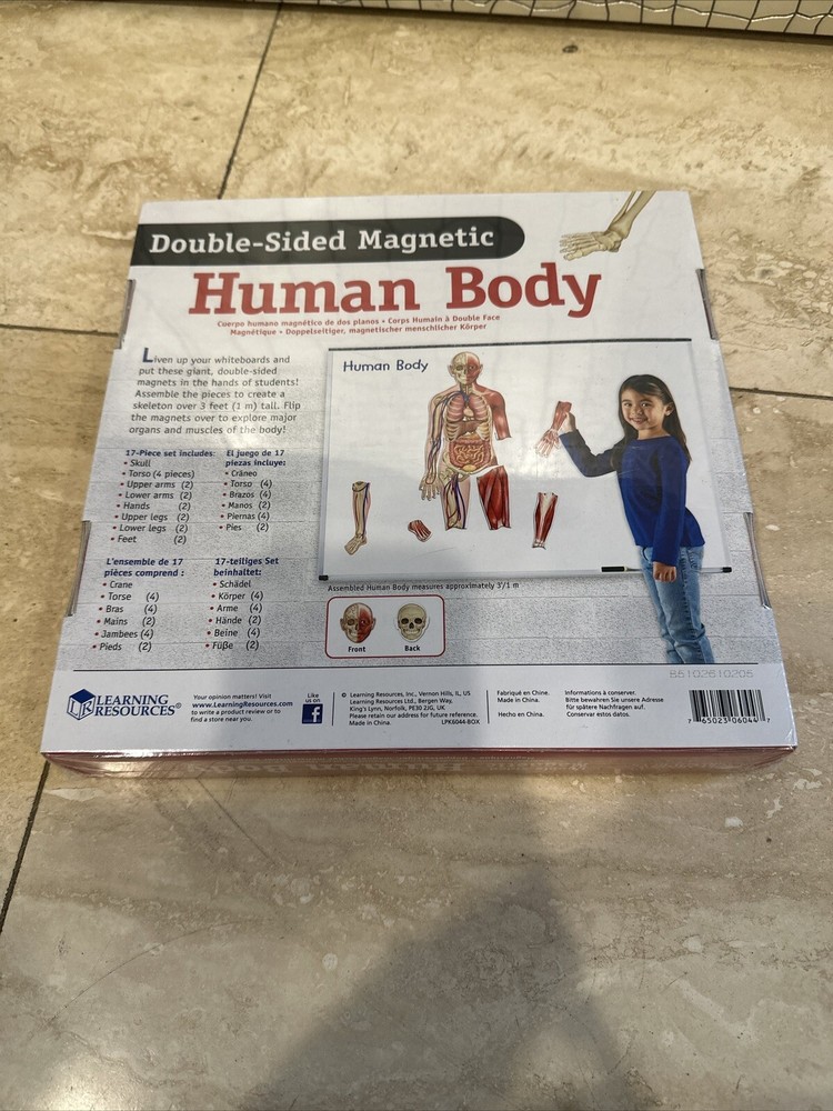 Learning Resources Double-sided Magnetic Human Body Set, New
