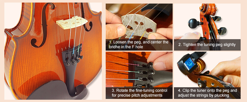 4/4 Violin Set with Shoulder Rest and Extra Strings for Beginners and Adults