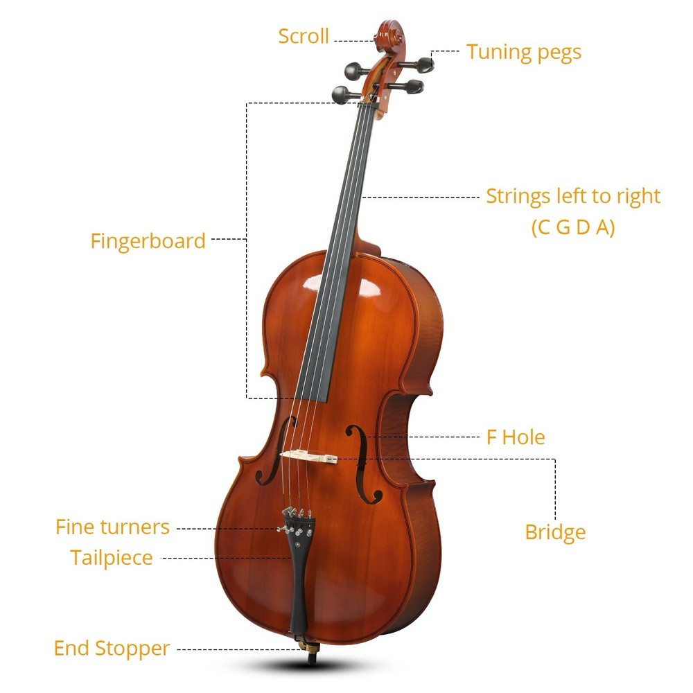 4/4 Full Size Solid Spruce Top Beginner Acoustic Cello Set - Bag Natural Bow