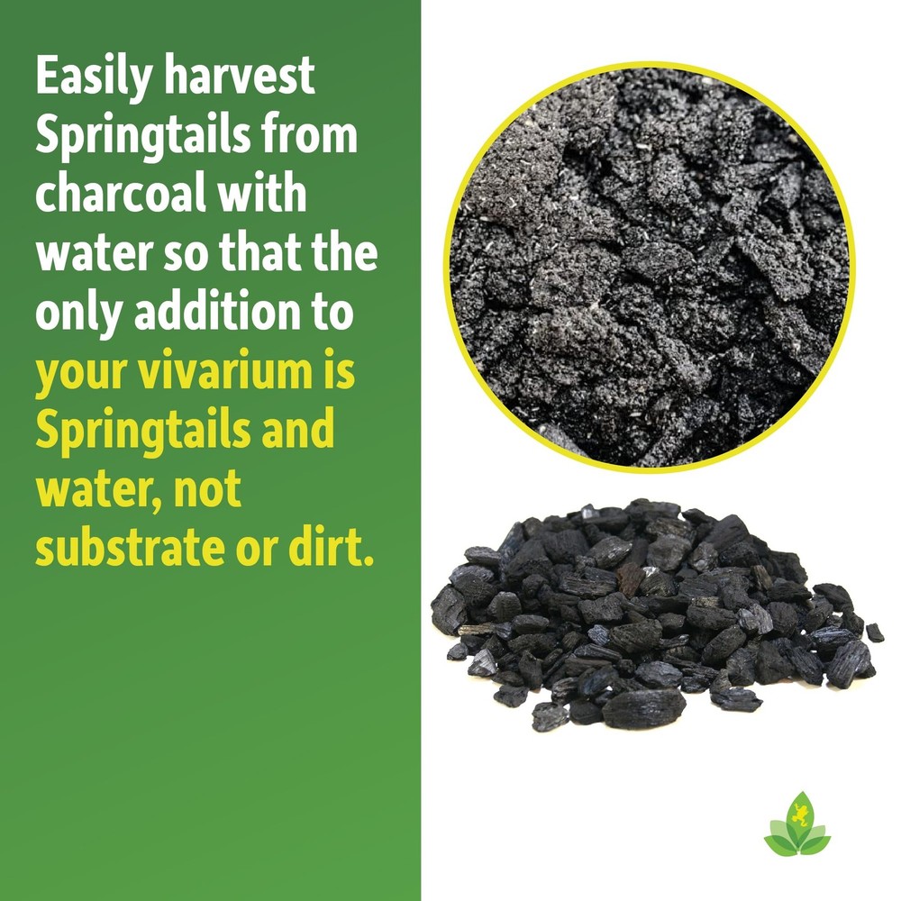 Charcoal (4 qt)