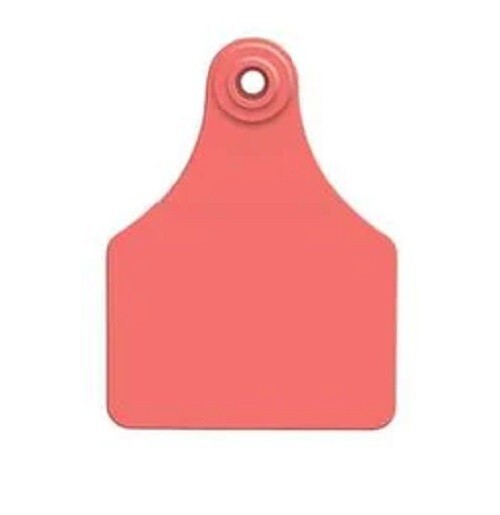 Allflex Global Large Blank Calf Ear Tags 25 Count Pink
