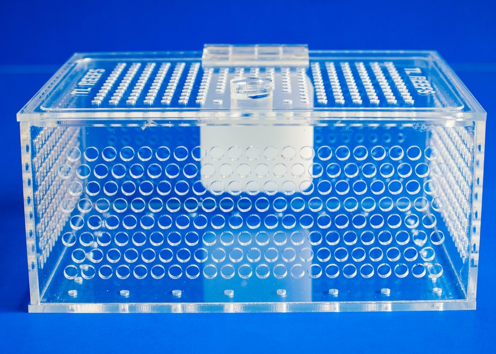TL Reefs Mushroom Coral Acclimation Box