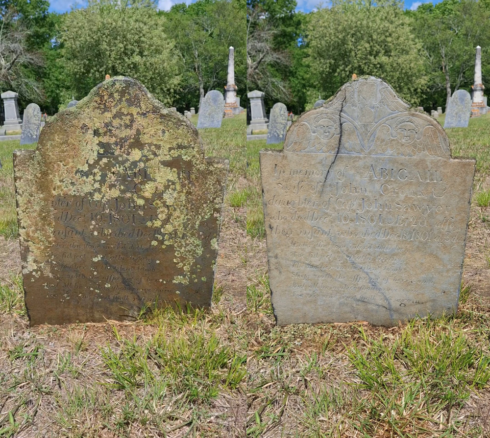 Endurance Gravestone & Monument Cleaner - 1 Gallon + 1 Quart Sprayer