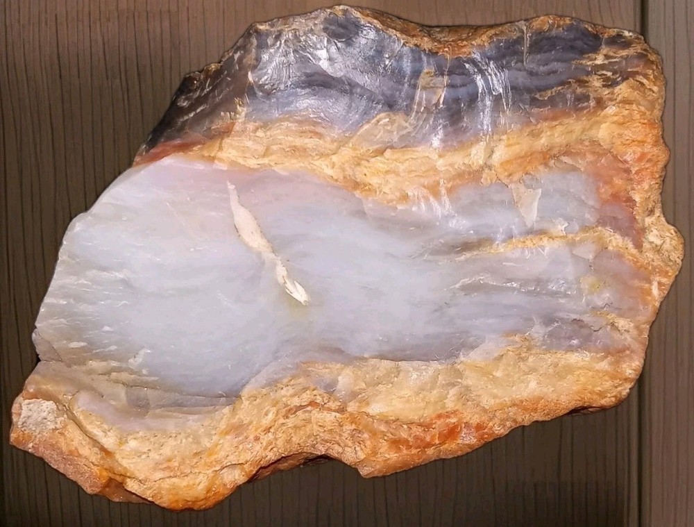 Agatized Petrified Wood Rough AZ 196g