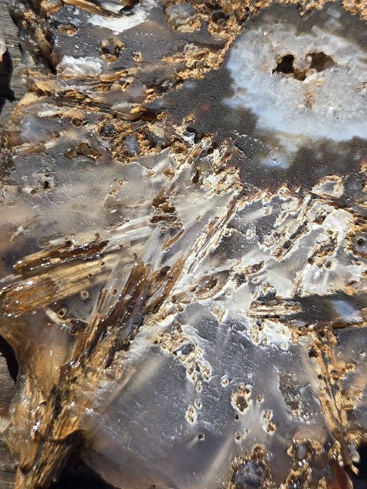 Turkish Agate Slabs Slices From One Stone Matching Lapidary Unique
