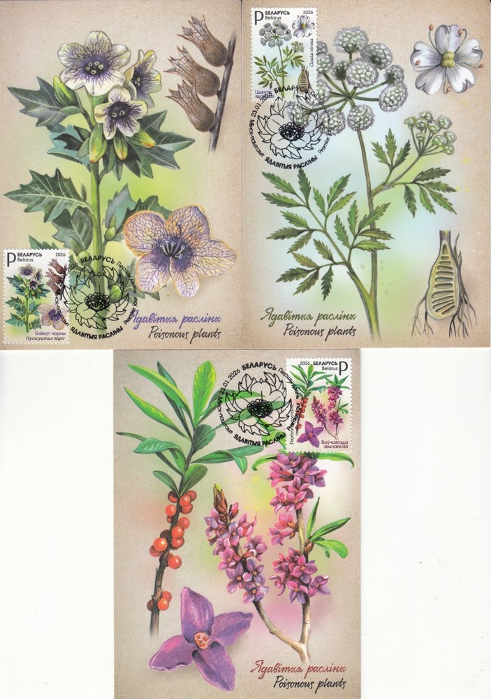 Belarus.2026.Poisonous plants. Set 3 Maxicards