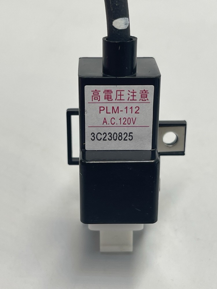 RTG20235C Tankless Water Heater Ignitor Coil, Fits Richmond/Ruud/Rheem Heaters