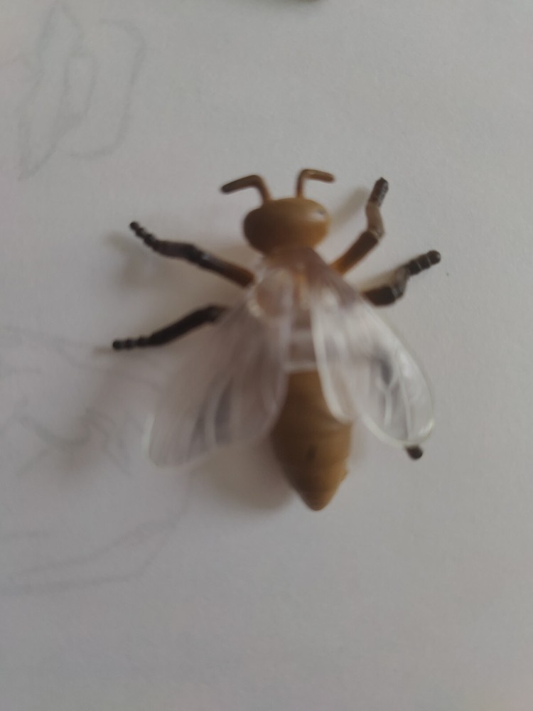 Insect plastic bug lot & Black Scorpion