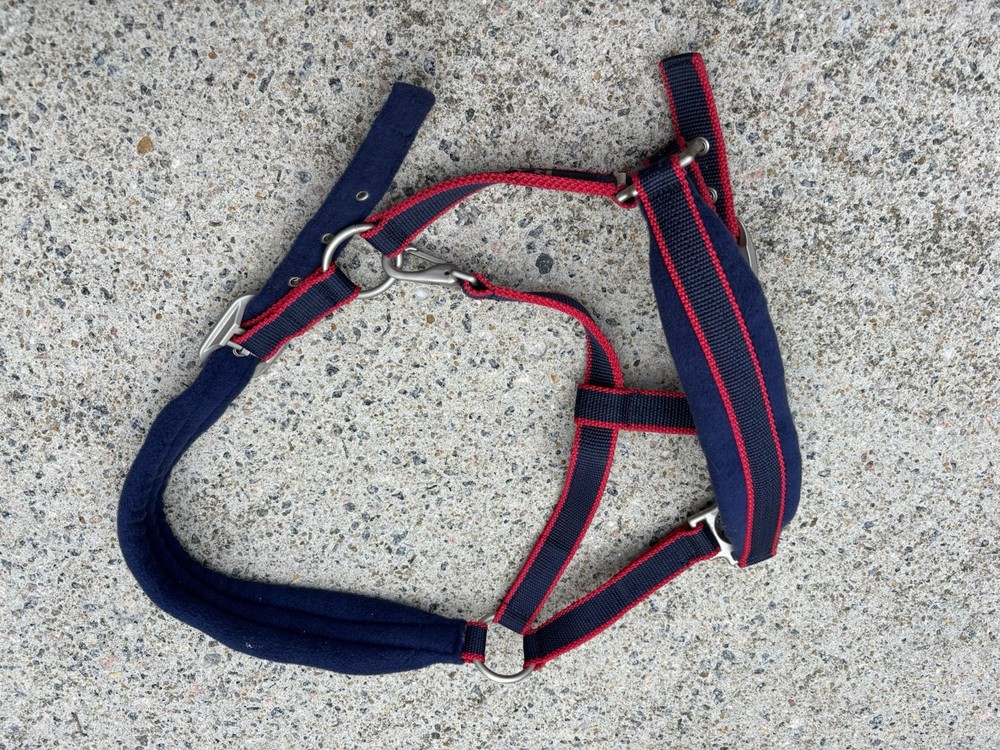 Very Padded Rambo Halter - Size Cob