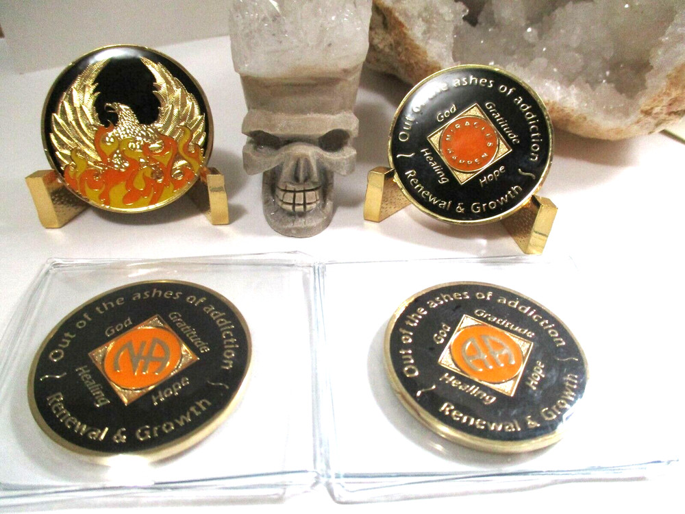 Coins Chip Brass Bad Days / Serenity All 12 Step Recovery Programs