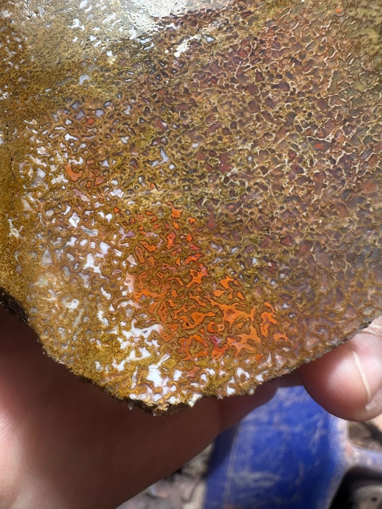 Dinosaur bone rough **hxtled slab.
