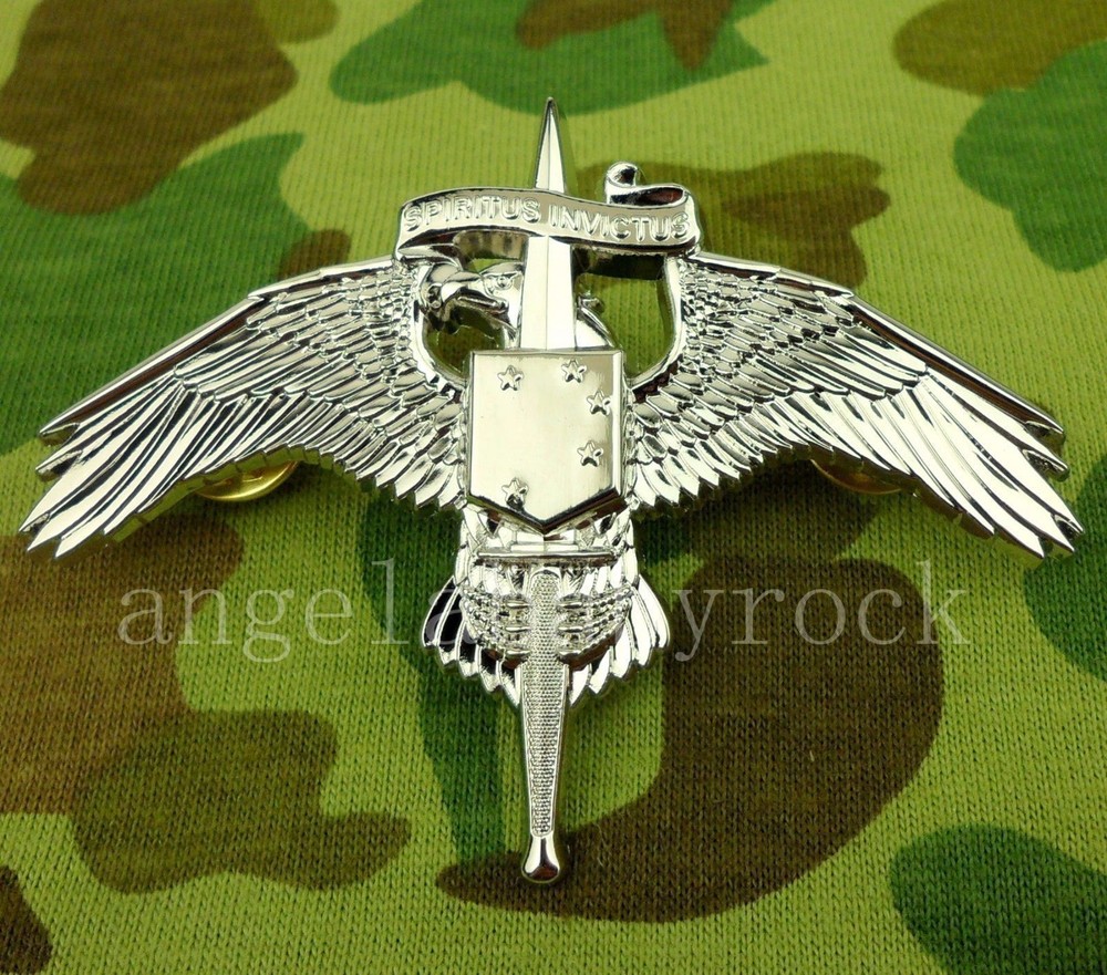 US MARINE CORPS FORCES SPECIAL OPERATIONS COMMAND BADGE RAIDER INSIGNIA A SILVER