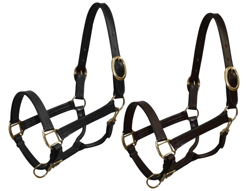 Cob Size Leather Halter w/ Brass Hardware