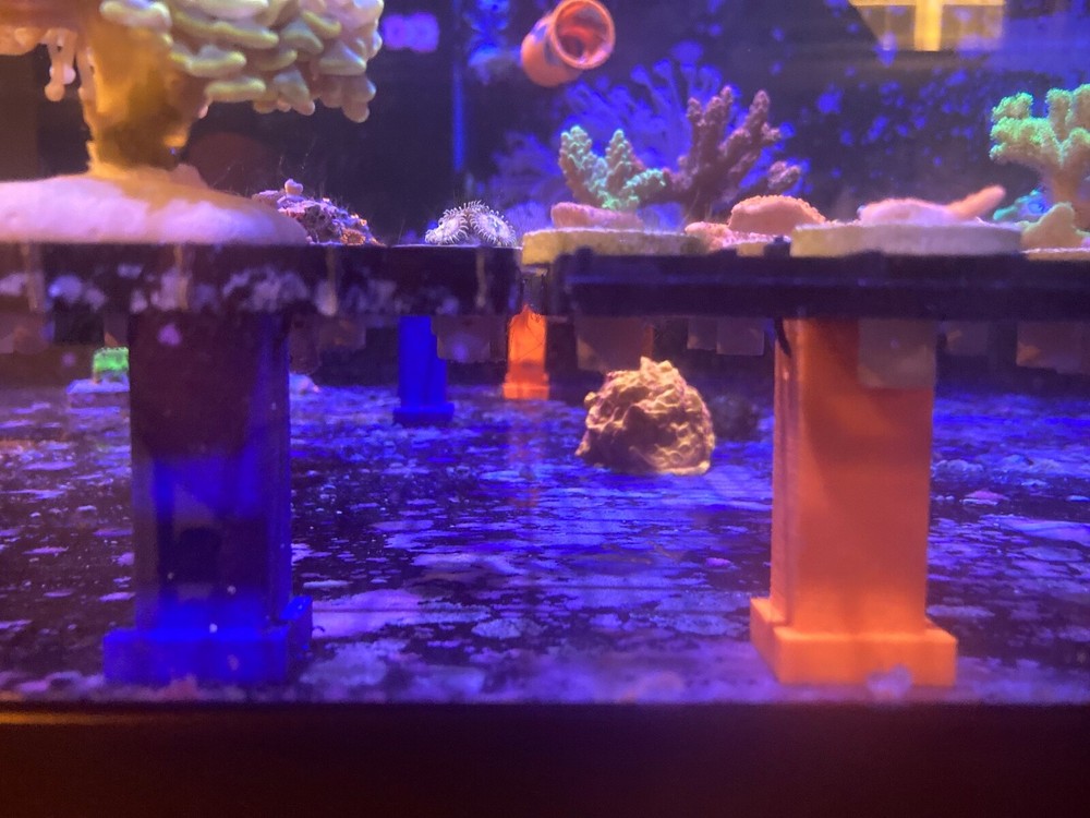 Frag rack legs 2 inch