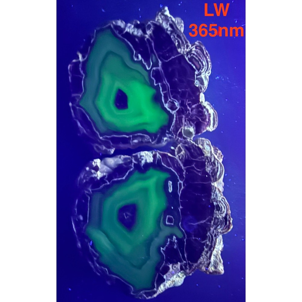Baker Ranch Thunder Egg Agate Geode Kid Pair Polished New Mexico Fluorescent