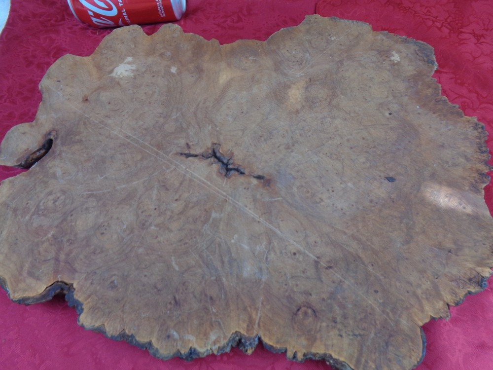 Burlwood Tree Slice #7