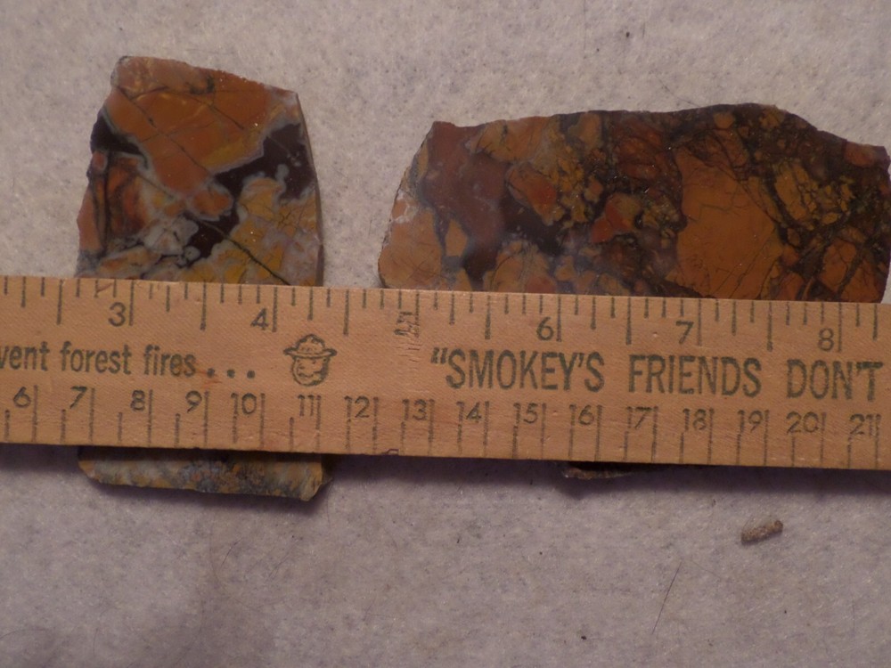 Two NICE STONY CREEK Brecciated JASPER Slabs