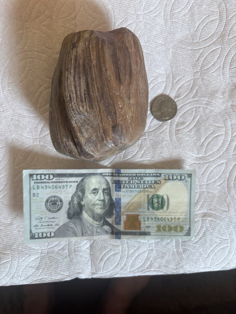Petrified Wood
