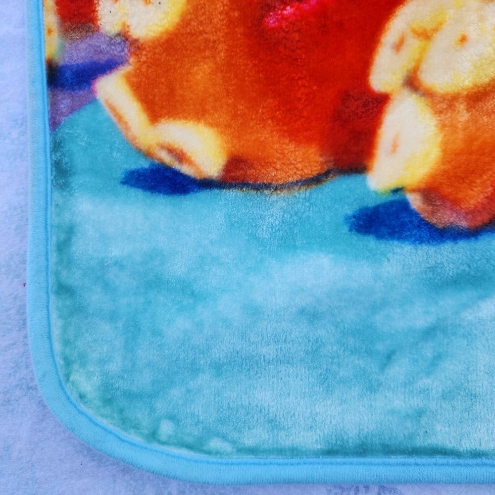 Disney Finding Nimo Dory Plush Blanket Northwest Size 48x42 in