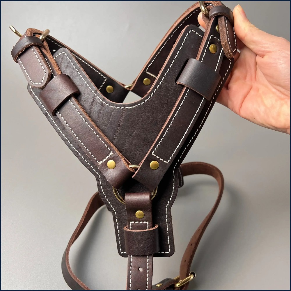 Genuine Leather Y-Shaped Dog Harness  Adjustable Neck  Chest Pull-Proof, Durable