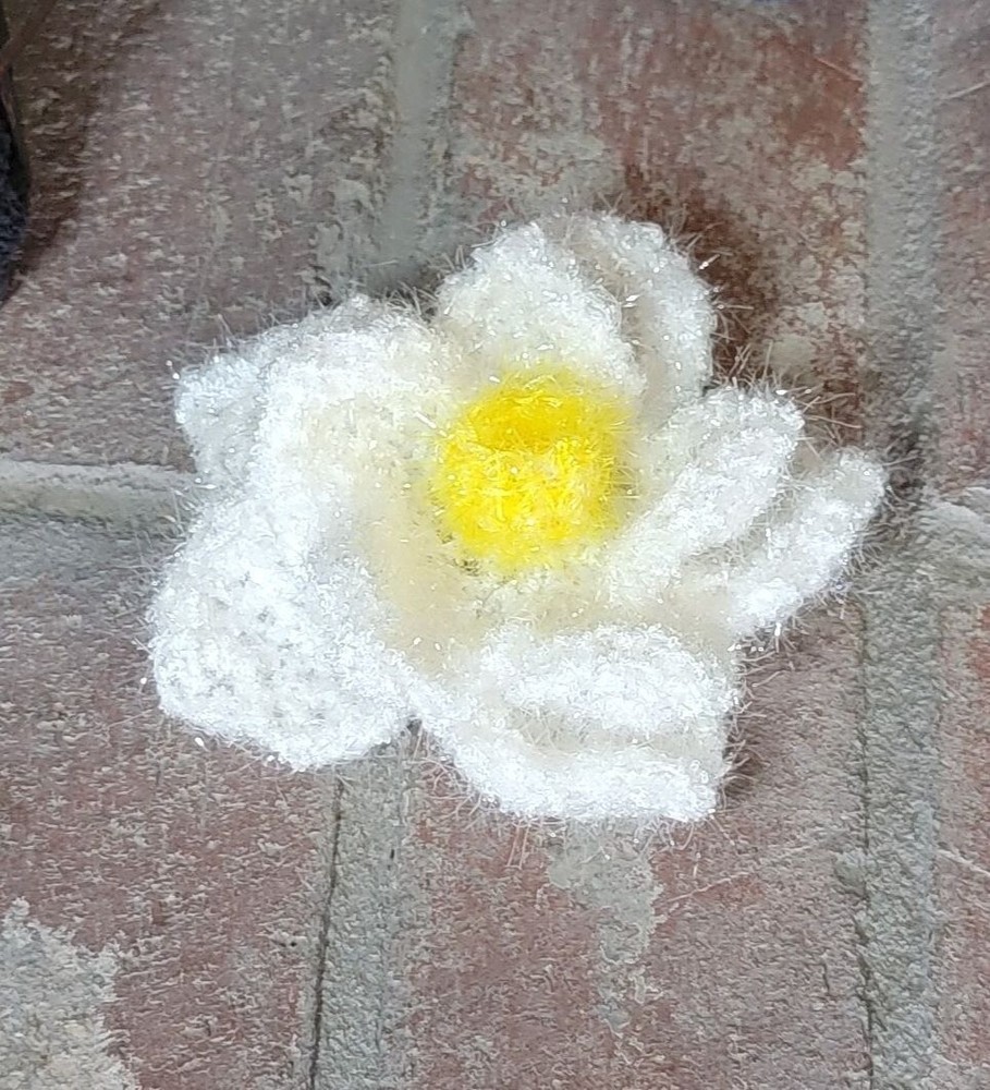 White and Yellow Flower Scrubby