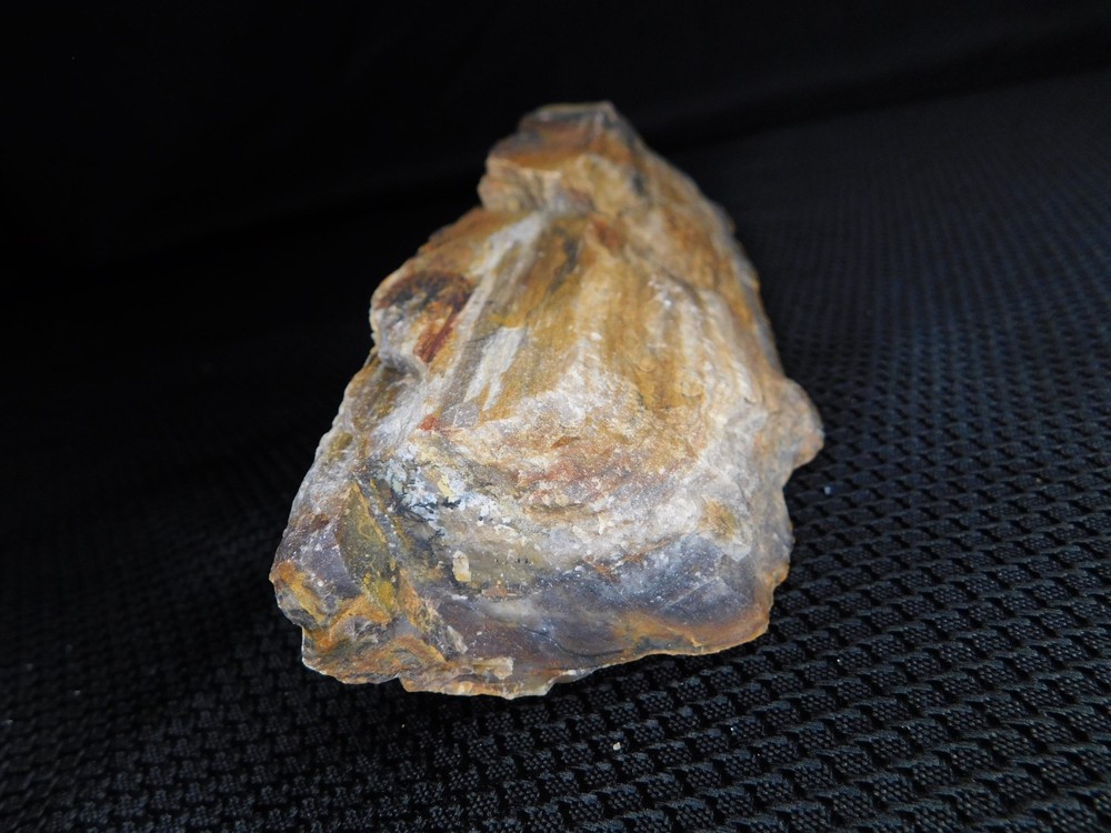 Petrified Wood Stick 1 lbs. 14oz.