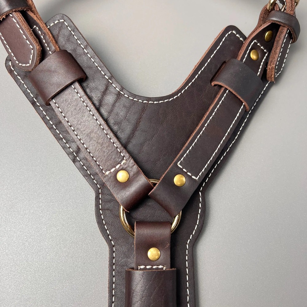 Genuine Leather Y-Shaped Dog Harness Adjustable Neck Chest Pull-Proof, Durable