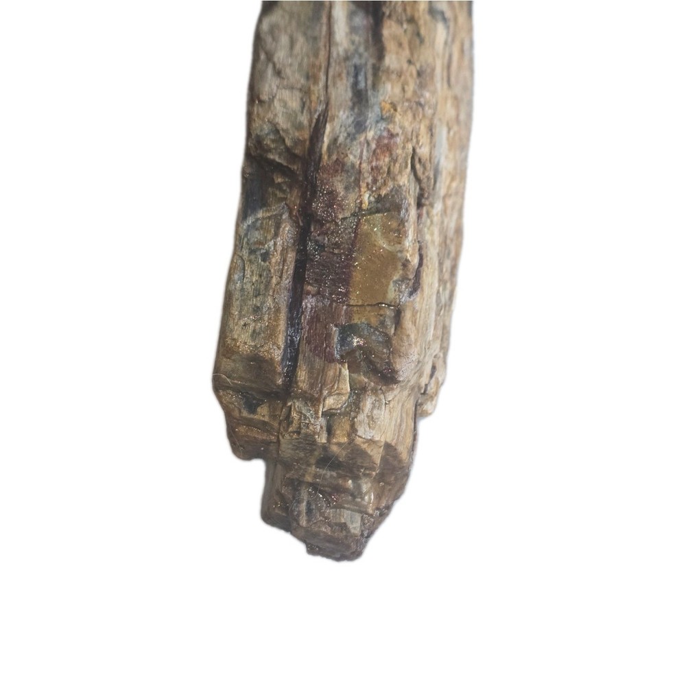 6lb Petrified Wood